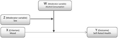 The influence of alcohol consumption on Self-Rated Health and Mood during the COVID-19 pandemic in Spain